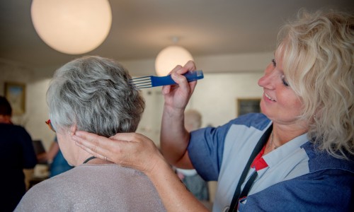 inspectie woonzorgcentra