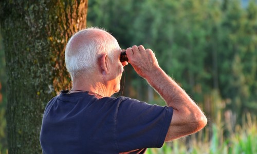 Actief ouder worden