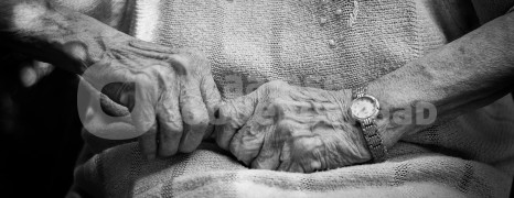 Catherina Vander Perre