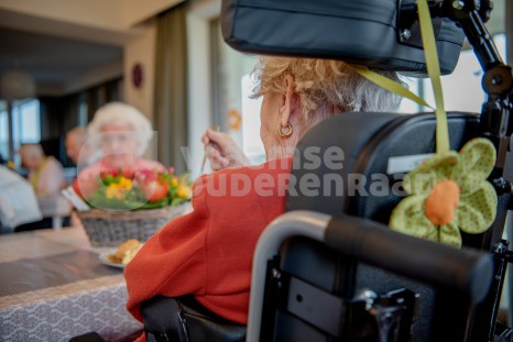 Verstraeten Sien