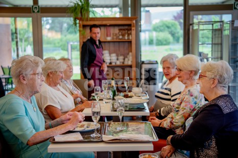 Verstraeten Sien