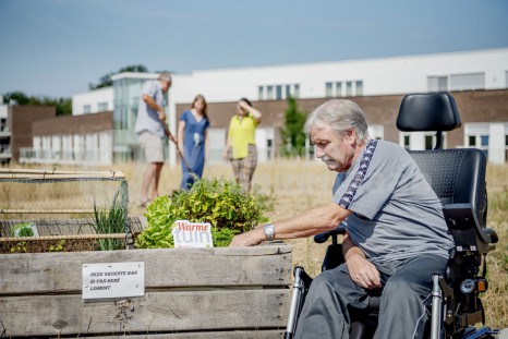 Verstraeten Sien