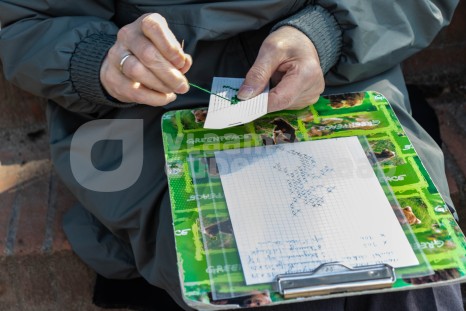 Vrouw beoefent hobby