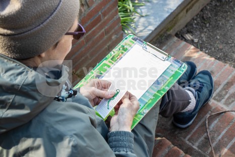 Vrouw beoefent hobby