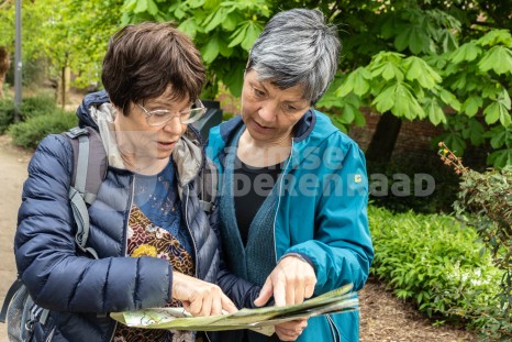 Oudere vrouwen wandelen