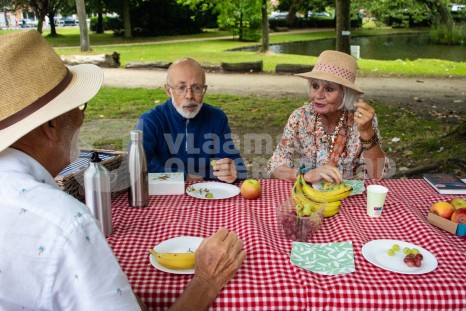 Ouderen picknicken