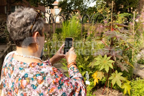 Oudere trekt foto