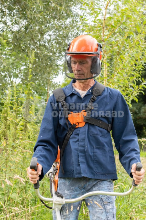 Oudere werkt in de tuin