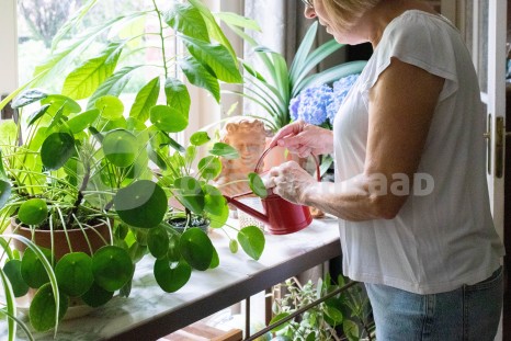 Oudere geeft planten water