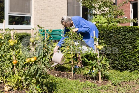 Bewoner geeft planten water