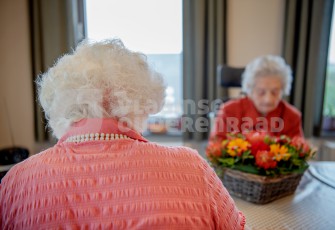 Verstraeten Sien