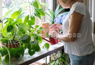 Oudere geeft planten water