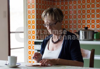 Vaneerdewegh Silke